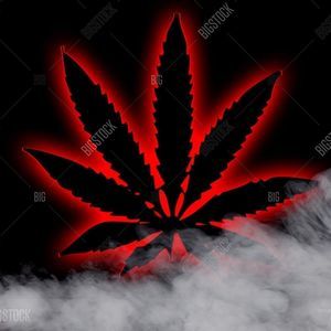 Meet your Posher, Nicholas